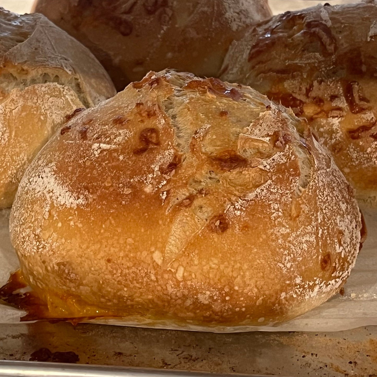 Parmesan Sourdough Bread