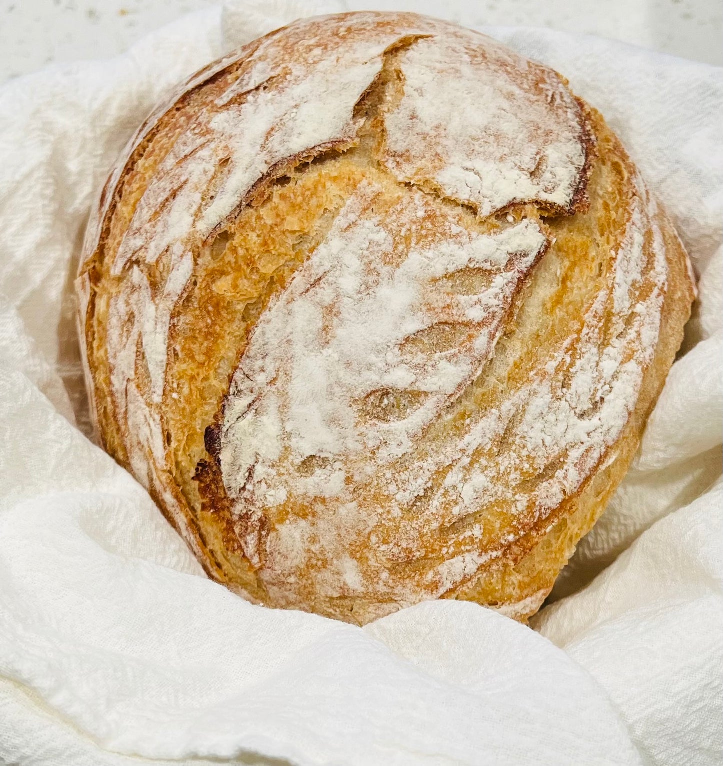 San Joaquin Sourdough Bread (Regular, Round)