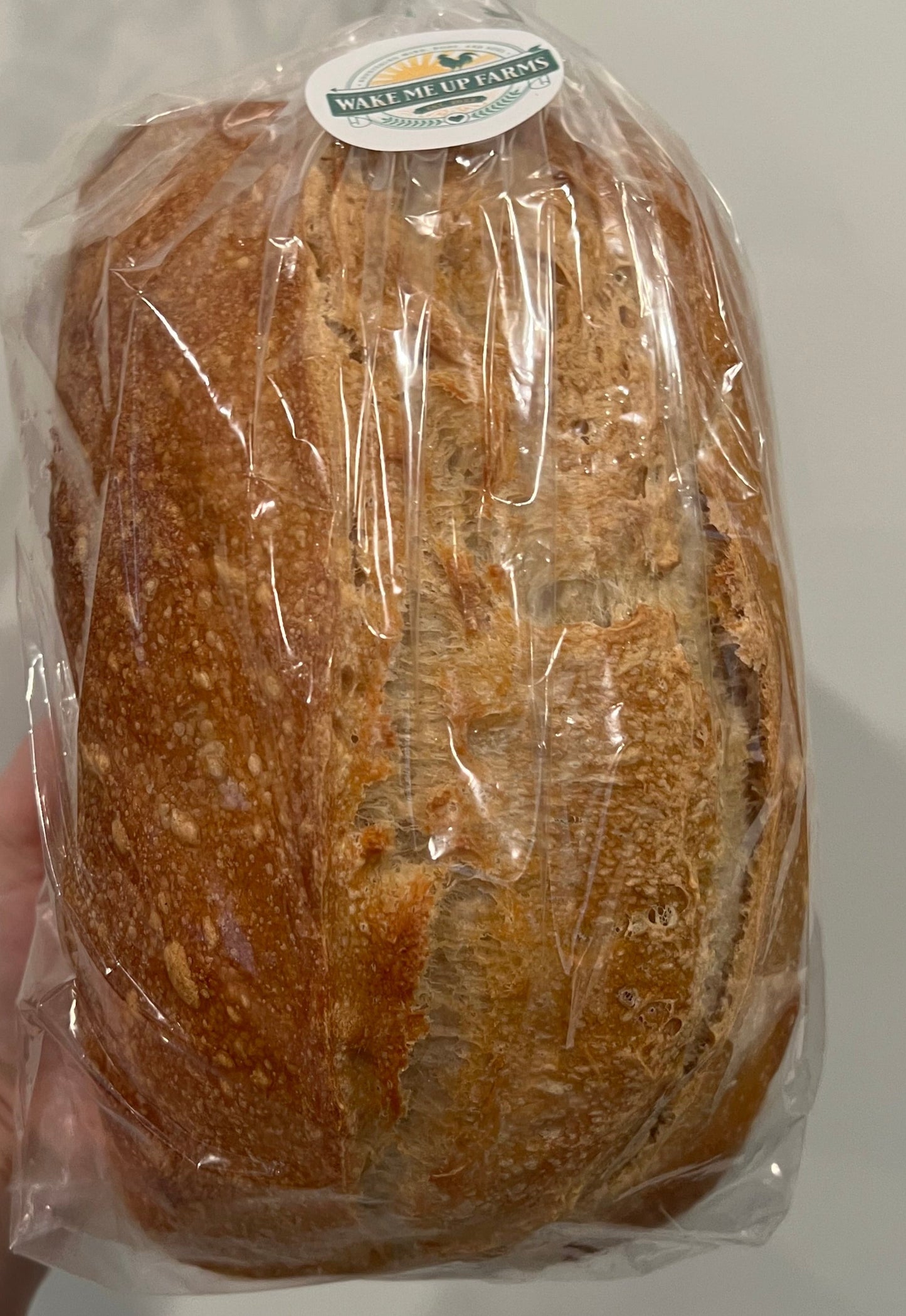 San Joaquin Sourdough Bread (LG Sandwich loaf)